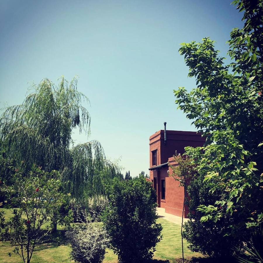 Cabanas La Cosecha سان رافاييل المظهر الخارجي الصورة