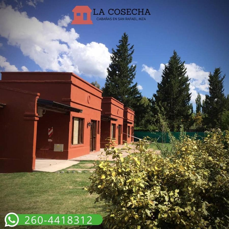Cabanas La Cosecha سان رافاييل المظهر الخارجي الصورة