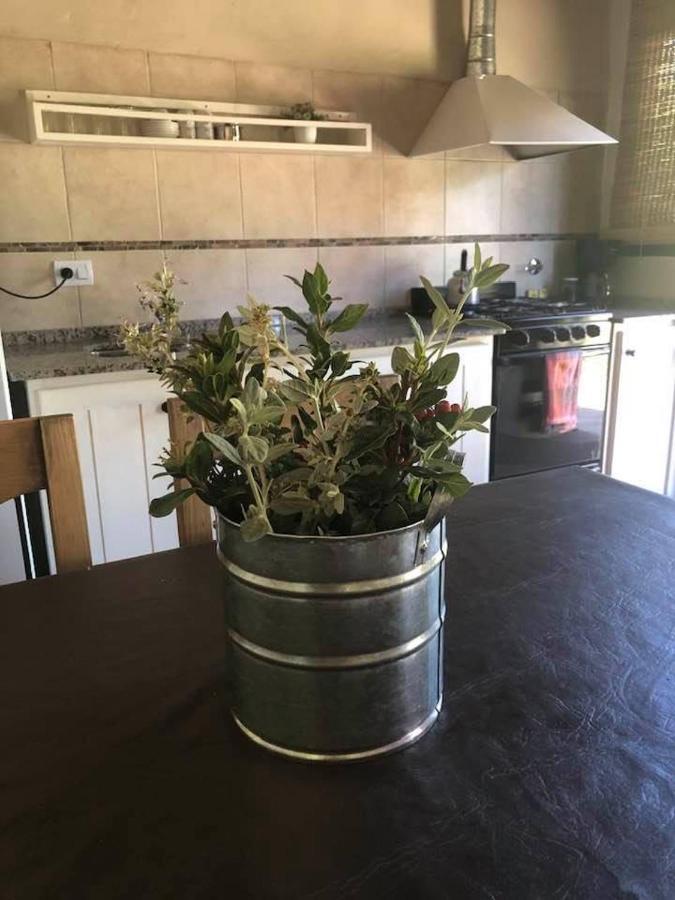 Cabanas La Cosecha سان رافاييل المظهر الخارجي الصورة